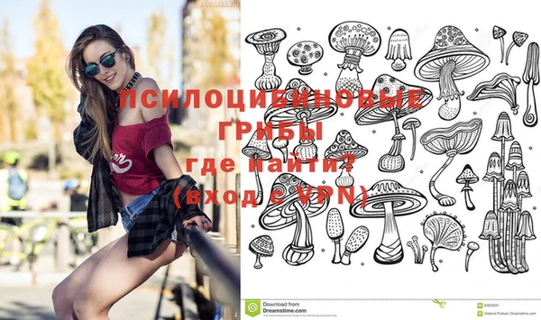 круглые Дмитров